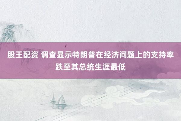 股王配资 调查显示特朗普在经济问题上的支持率跌至其总统生涯最低