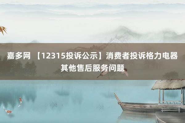 嘉多网 【12315投诉公示】消费者投诉格力电器其他售后服务问题