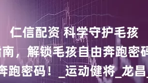 仁信配资 科学守护毛孩关节健康指南，解锁毛孩自由奔跑密码！_运动健将_龙昌_软骨