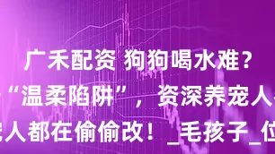 广禾配资 狗狗喝水难？避开这四个“温柔陷阱”，资深养宠人都在偷偷改！_毛孩子_位置_凉白开