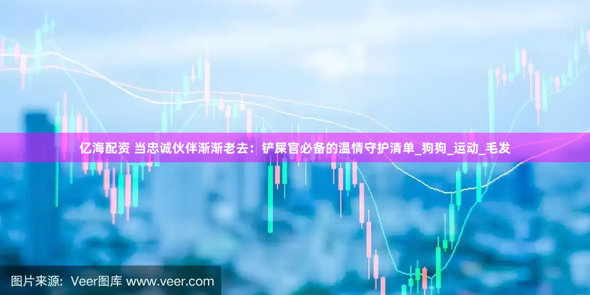 亿海配资 当忠诚伙伴渐渐老去：铲屎官必备的温情守护清单_狗狗_运动_毛发