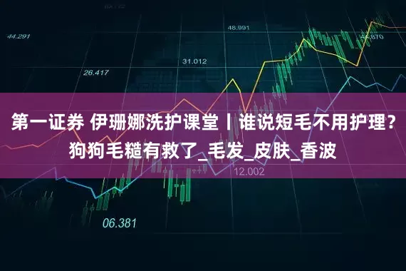 第一证券 伊珊娜洗护课堂丨谁说短毛不用护理？狗狗毛糙有救了_毛发_皮肤_香波