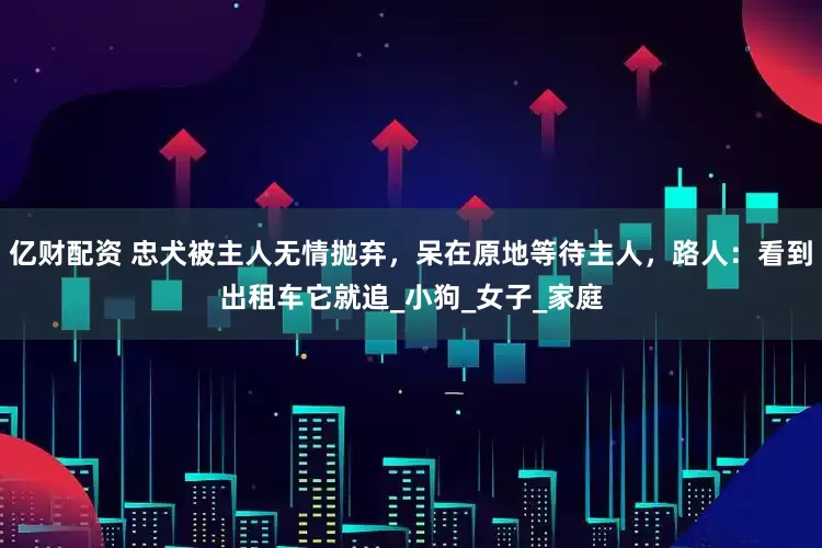 亿财配资 忠犬被主人无情抛弃，呆在原地等待主人，路人：看到出租车它就追_小狗_女子_家庭