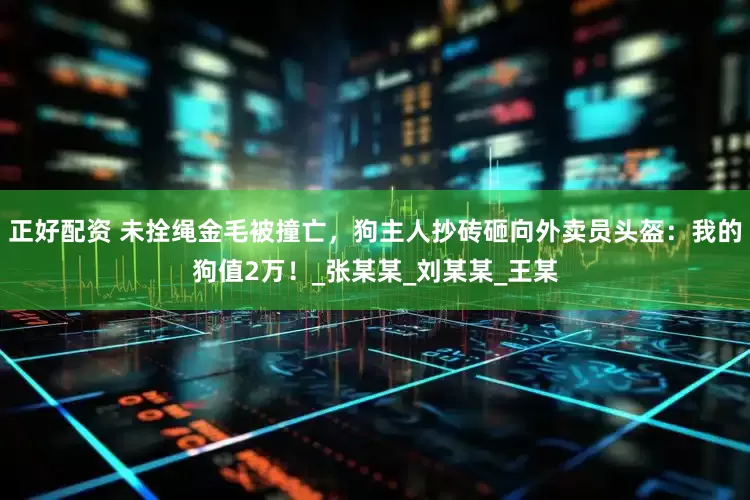 正好配资 未拴绳金毛被撞亡，狗主人抄砖砸向外卖员头盔：我的狗值2万！_张某某_刘某某_王某