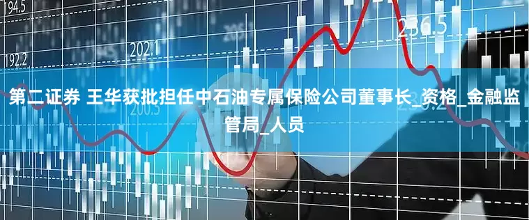 第二证券 王华获批担任中石油专属保险公司董事长_资格_金融监管局_人员