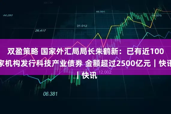 双盈策略 国家外汇局局长朱鹤新：已有近100家机构发行科技产业债券 金额超过2500亿元｜快讯