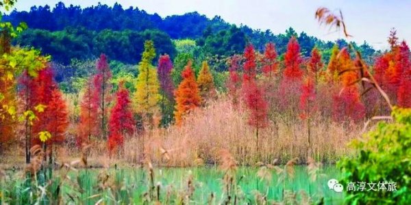 倍倍网 “县”在出发 邂逅“小城故事多”！