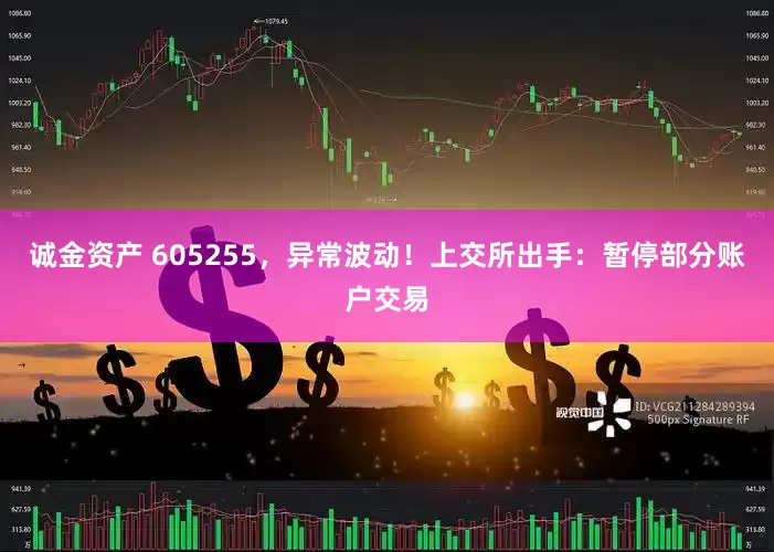 诚金资产 605255，异常波动！上交所出手：暂停部分账户交易